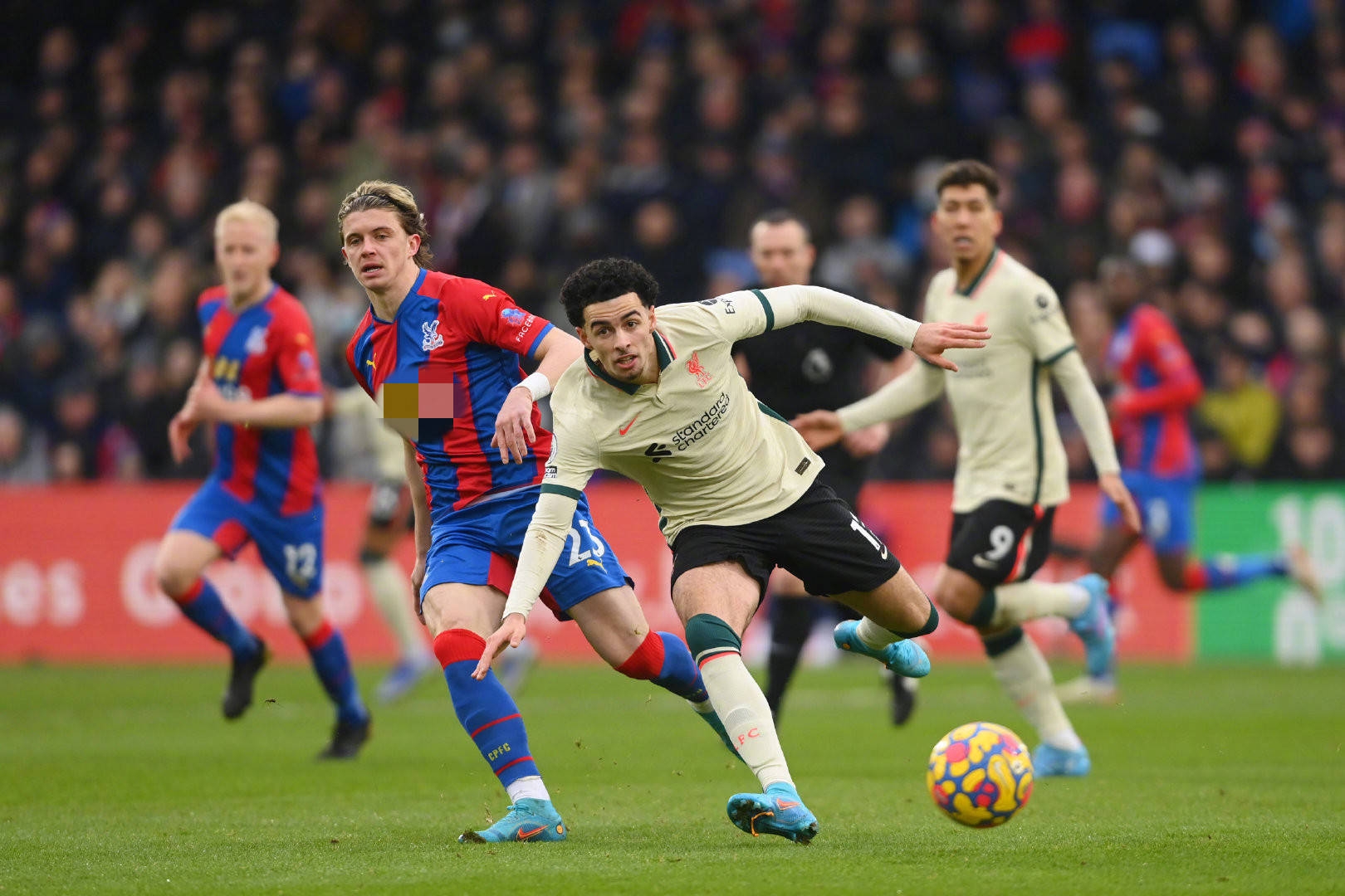 这种明确的 这种明确的